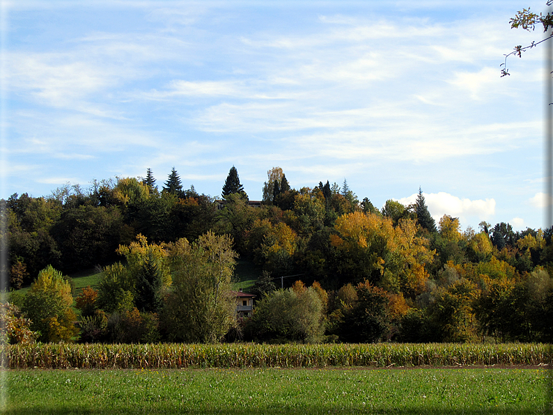 foto Paesaggi Autunnali tra le colline Fontesi